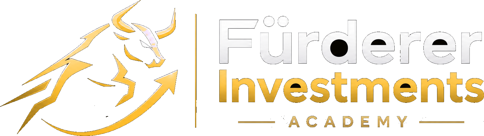 Fürderer Investments · Brian Fürderer Akademie
